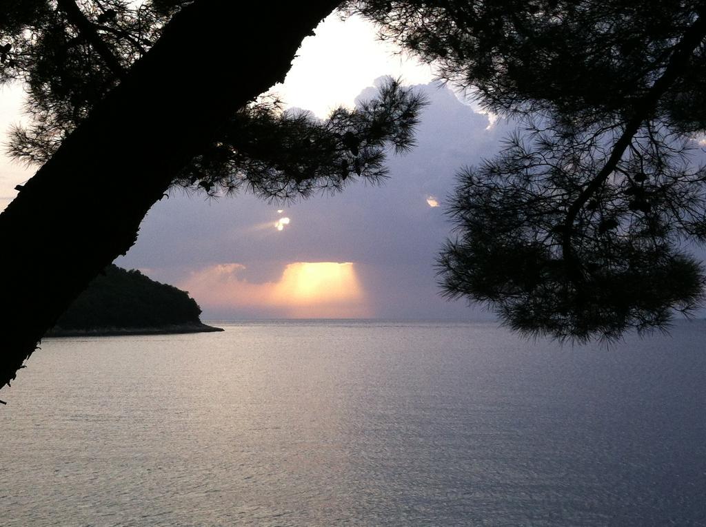 Guesthouse Galeb Vrsar Exterior foto